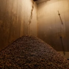 239
